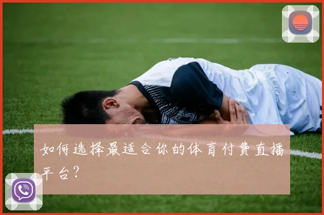 如何选择最适合你的体育付费直播平台？