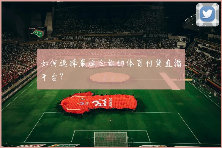 如何选择最适合你的体育付费直播平台？