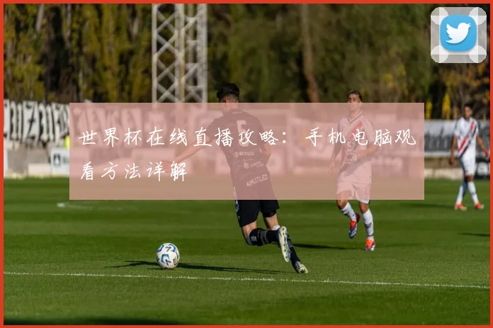 世界杯在线直播攻略：手机电脑观看方法详解