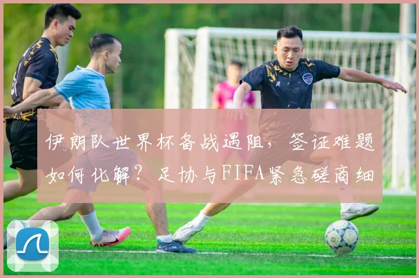 伊朗队世界杯备战遇阻，签证难题如何化解？足协与FIFA紧急磋商细节解析